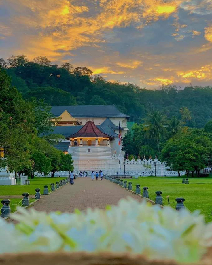 dhaladha maligawa