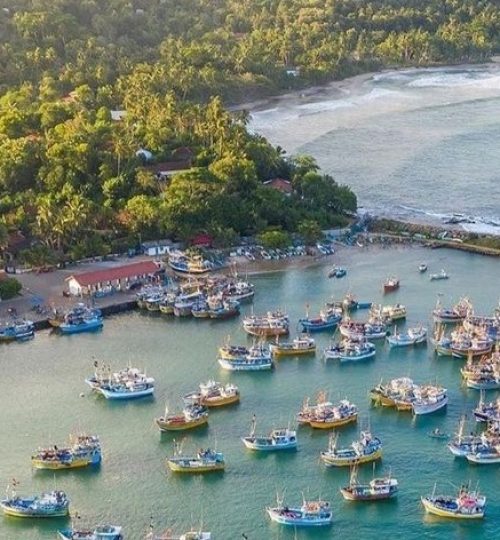 weligama123